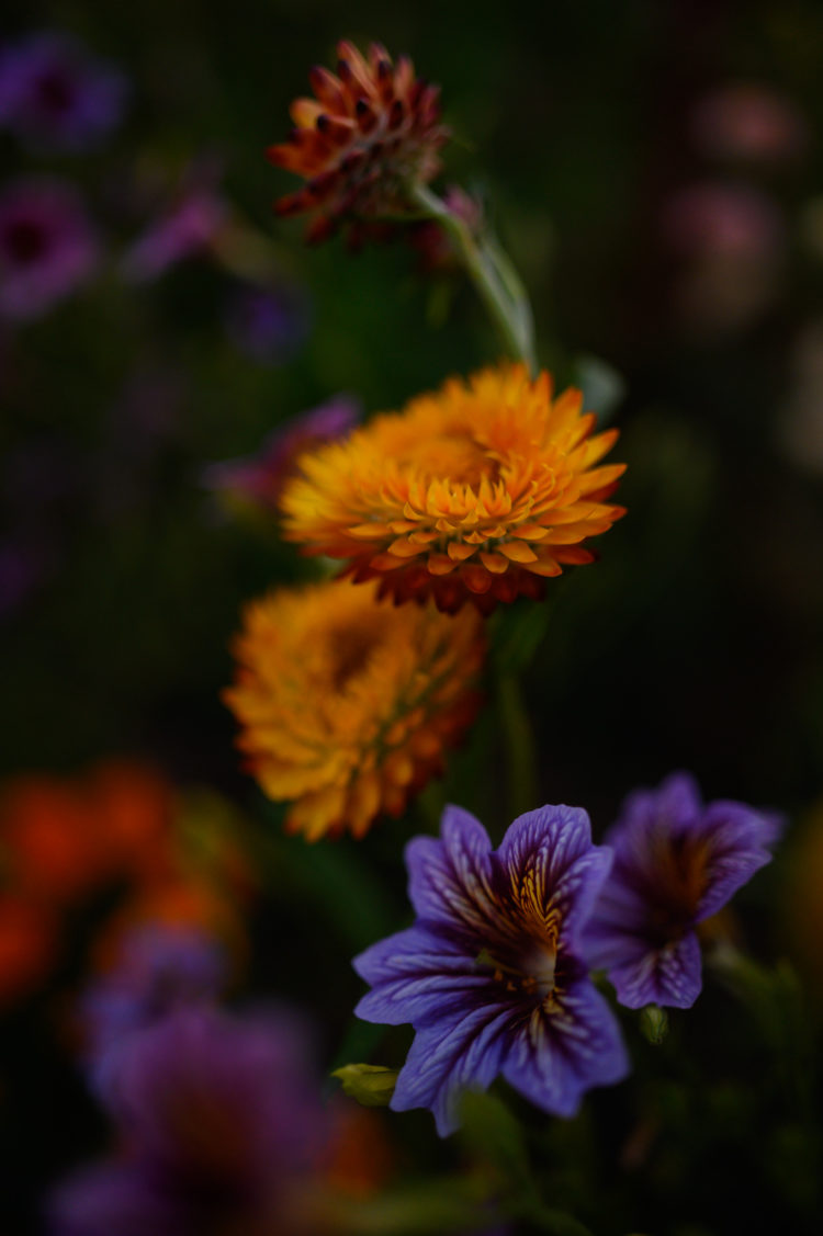 Flower share - Image 4