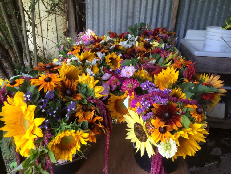 Flower share