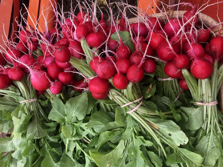 Vegetable Share - Image 4