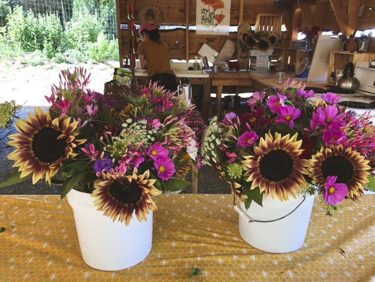 Flower share - Image 2
