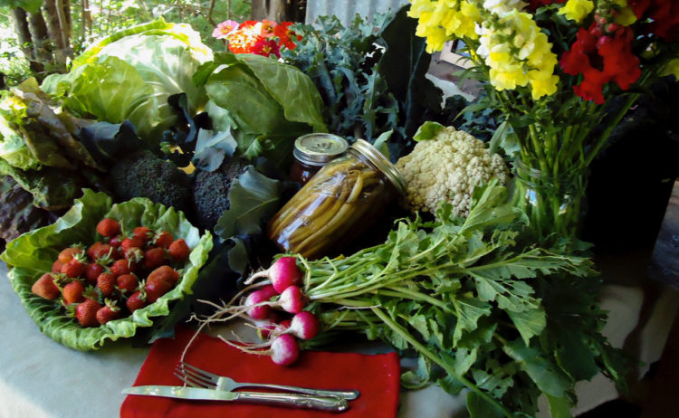 Vegetable Share - Image 2