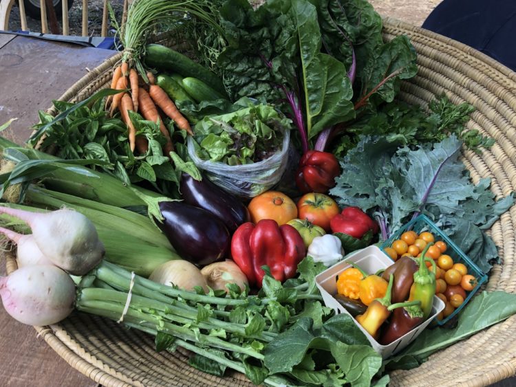 Vegetable Share - Image 3